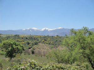 We went over those mountains just two days ago!