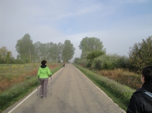 Nancy starting her walk yesterday morning.  Very cold and foggy morning.