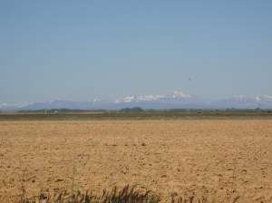 The beautiful Spanish Meseta with snow capped mountains along the northern horizon.