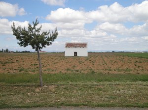 Country scene somewhere between Leon and Vilar de Mazarife.