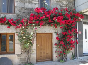 The door of someone's home as we enter Sarria.