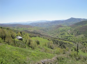 The Galician countryside is very beautiful. I wish you could see the depth and expanse of this countryside.