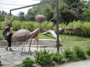 The ants are really big in rural Spain.