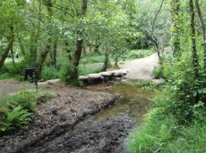 Galician rural scenery along the Camino.
