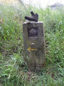 The closer we get to Santiago, the more discarded boots I'm finding on the kilometer markers.